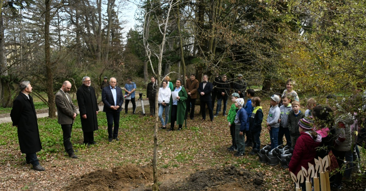 Az év fájának választott vénic-szillel bővült a Soproni Egyetem Botanikus Kertje