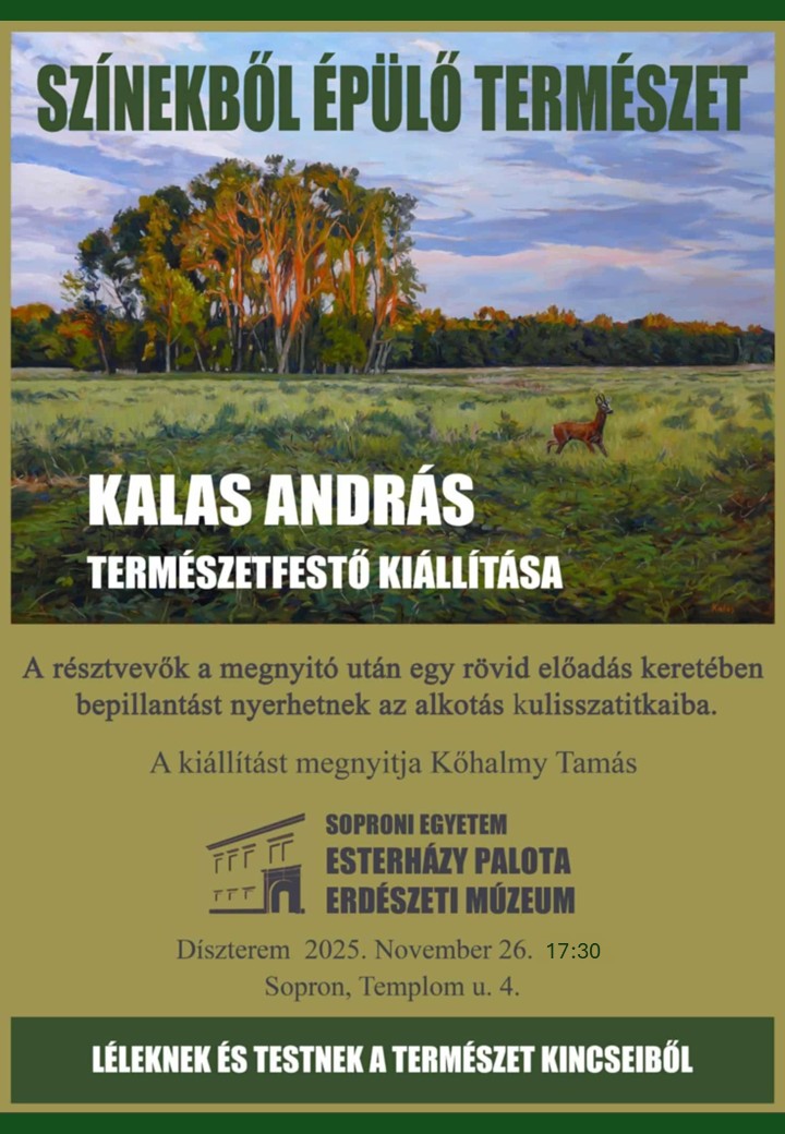 november26.jpg november26.jpg