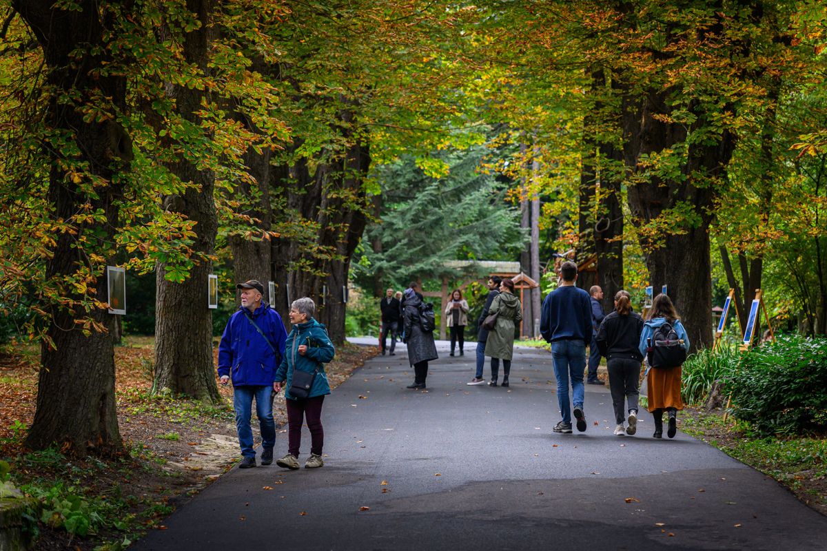 Cseh hangulat a Soproni Egyetemen