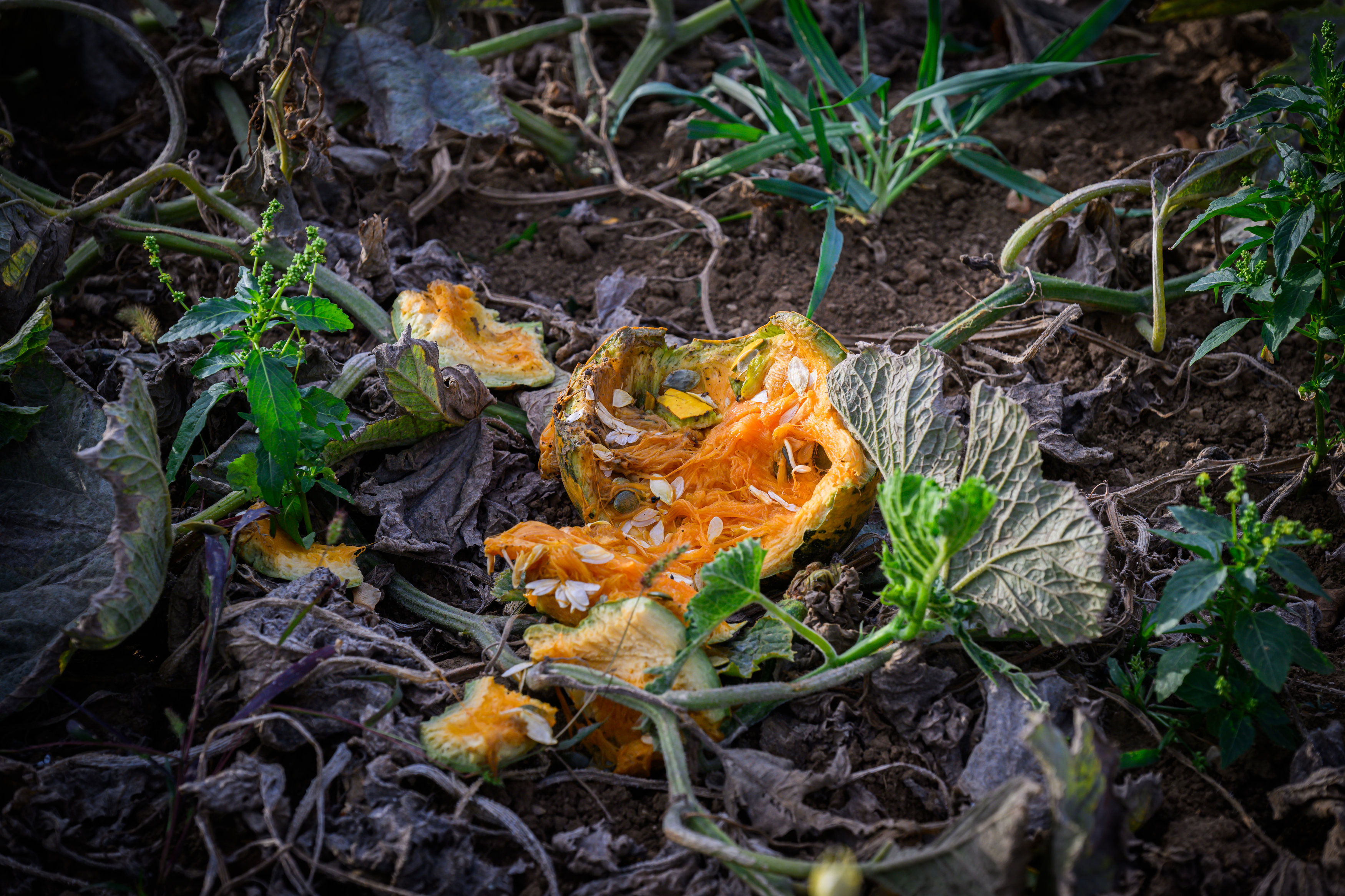 RPT_7969.jpg