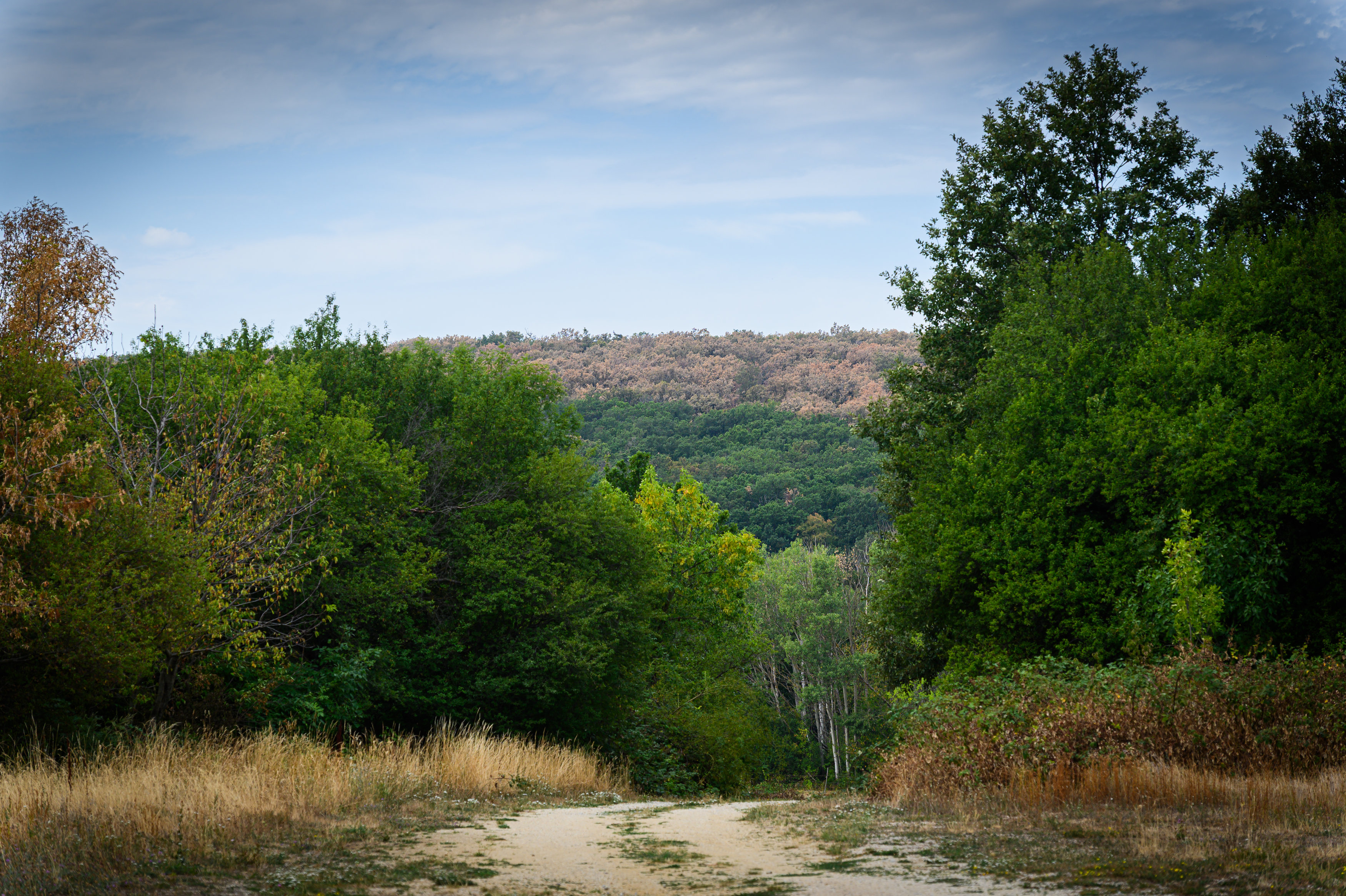 RPT_9228.jpg