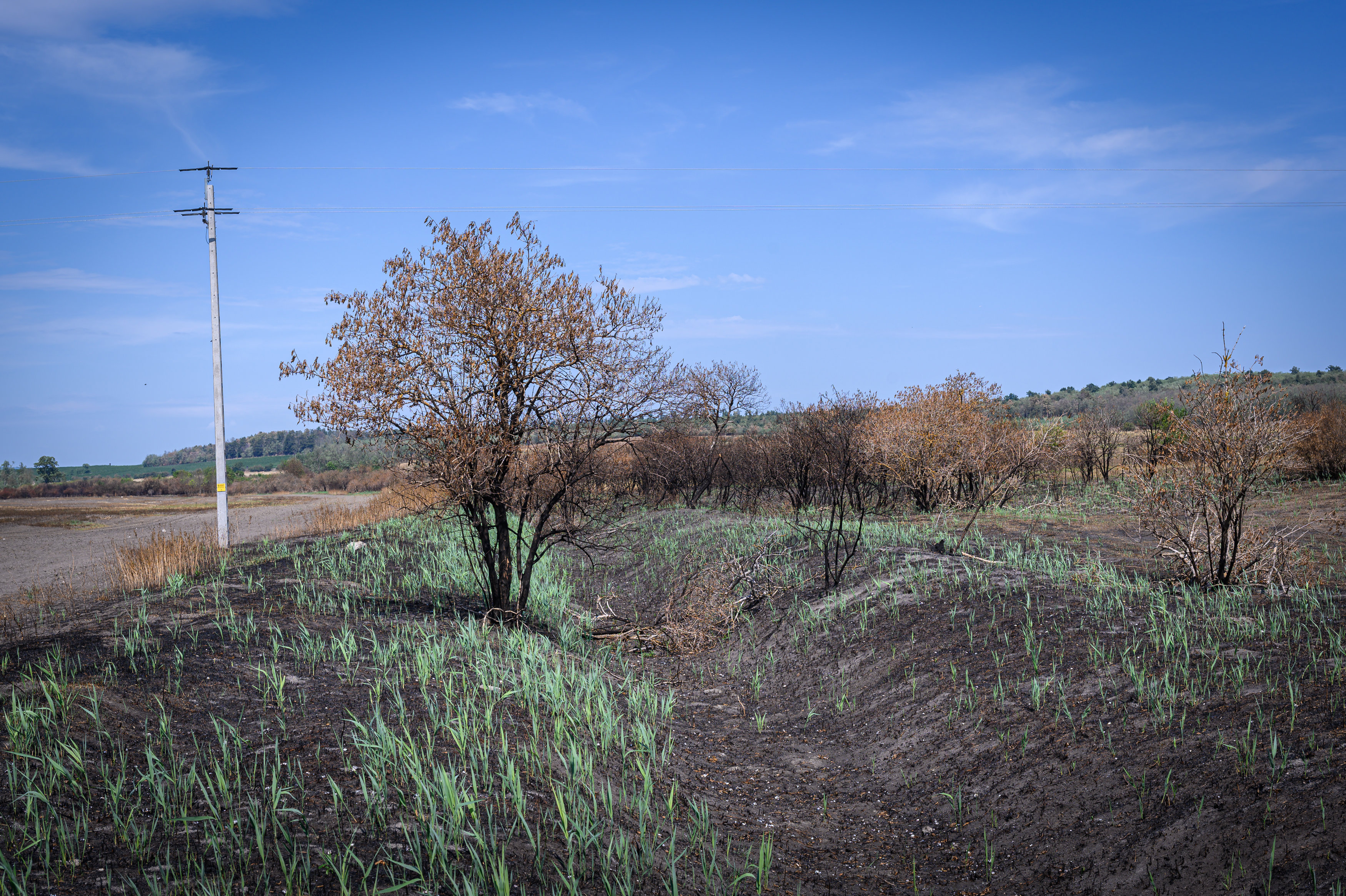RPT_925172.jpg