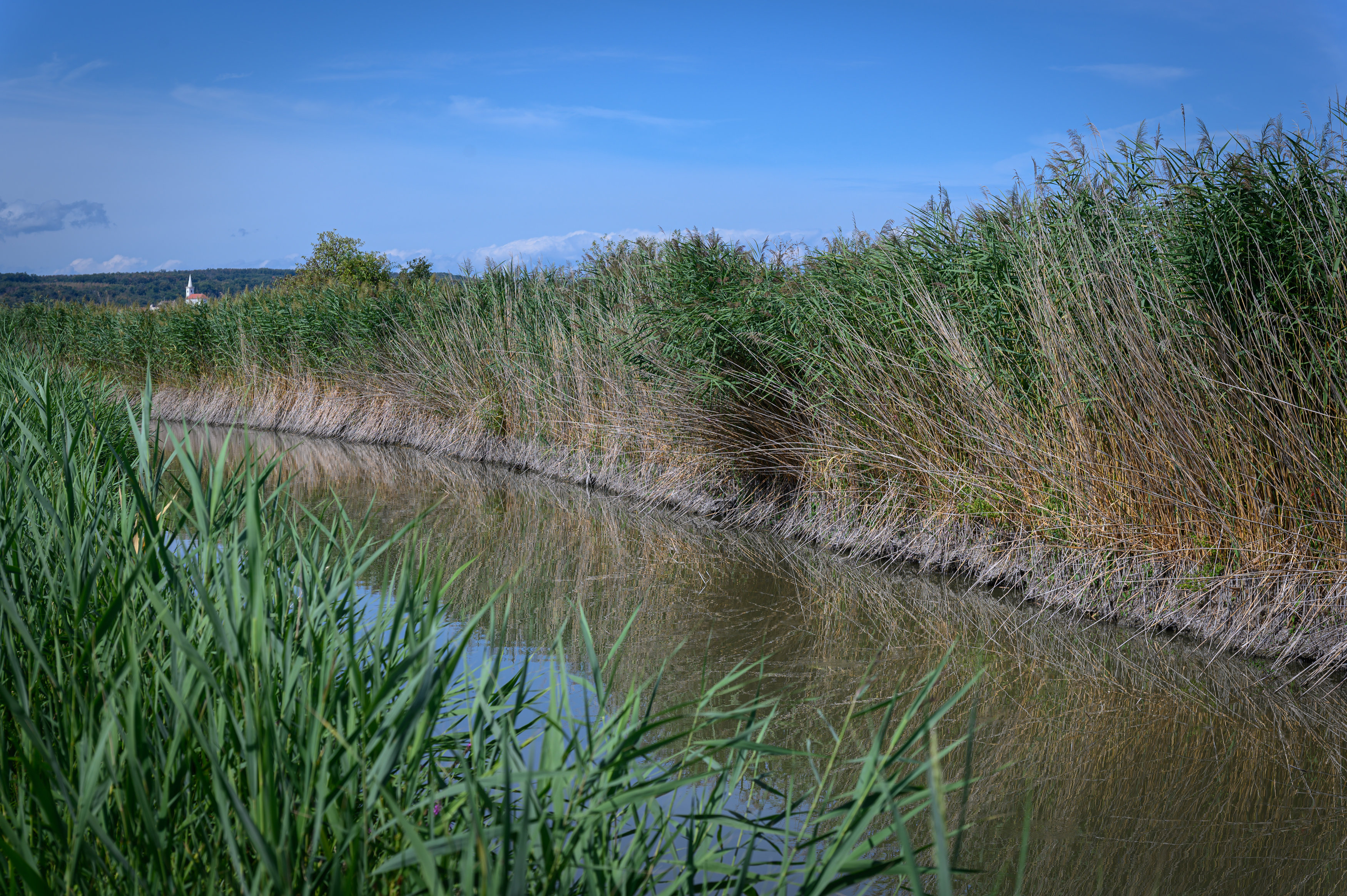 RPT_9338.jpg