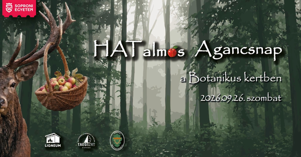 HATalmás Agancsnap a Soproni Egyetem Botanikus kertjében HATalmás Agancsnap a Soproni Egyetem Botanikus kertjében