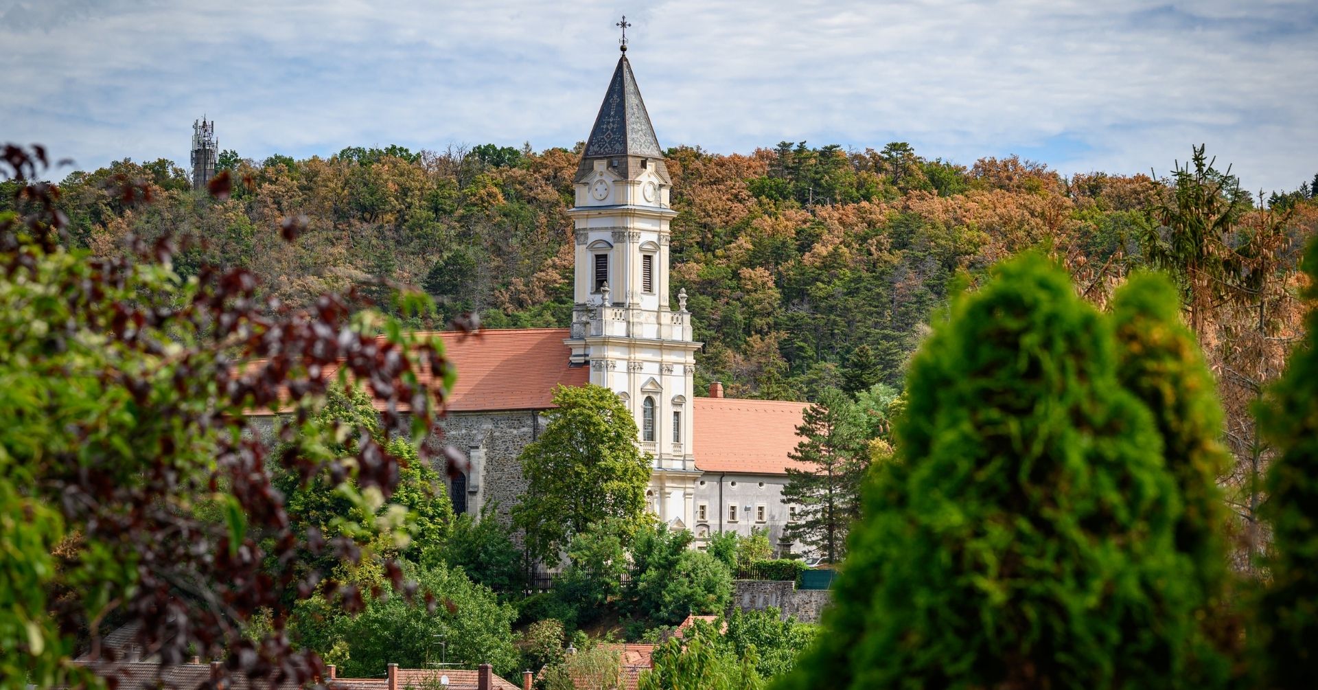 Súlyos változásokat jelez a Soproni Egyetem