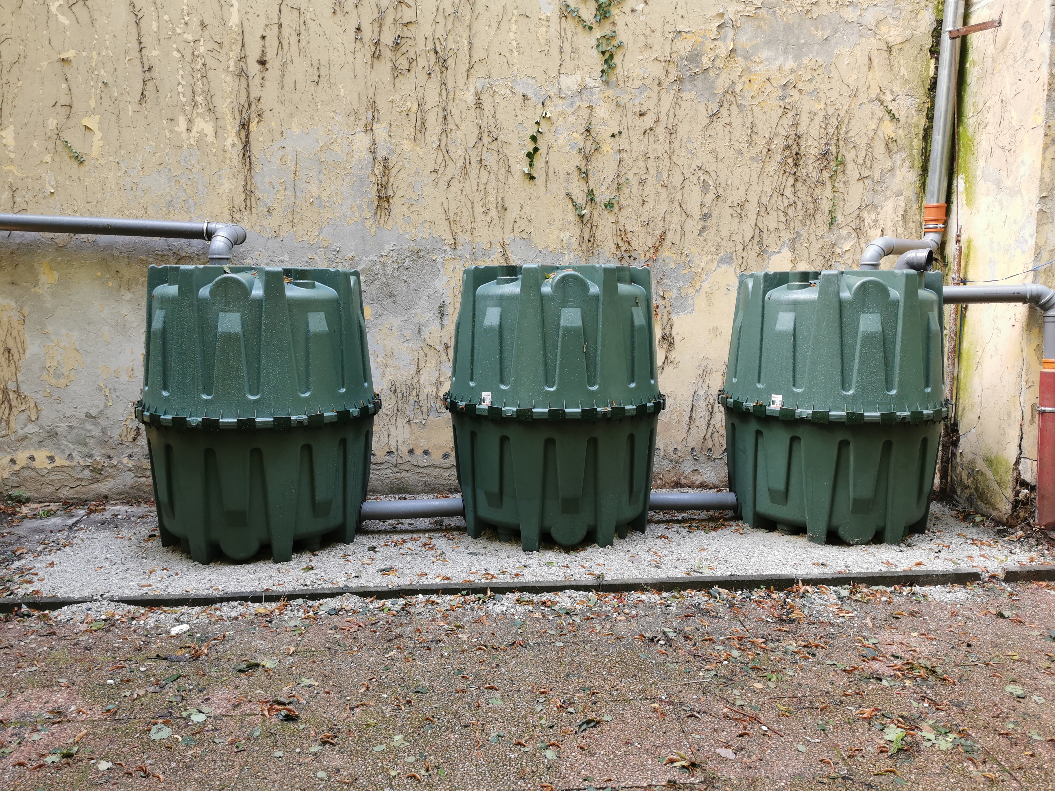 hordo1.jpg