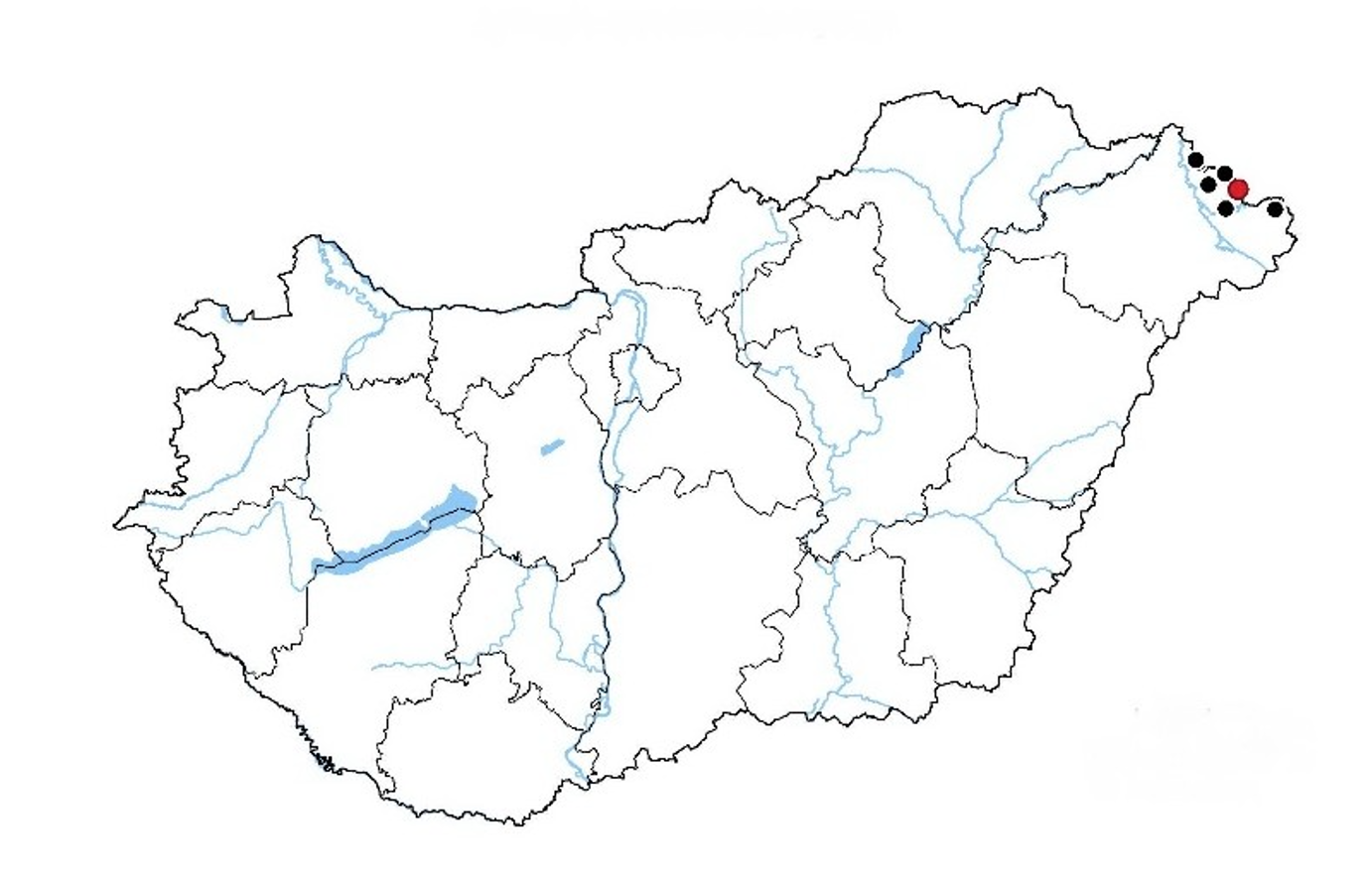 korisbogar6.png